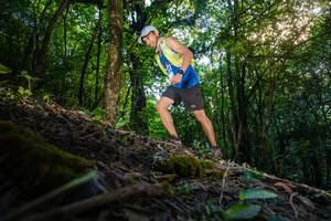 BIB: 
                            <button type="button" onclick="openModal(16010109)" class="btn btn-primary btn-sm float-right btn-popup" data-toggle="modal" data-target=".modal-high-quality">
                        <i class="fas fa-shopping-cart"></i> Add to Cart
                    </button>
                                            <button type="button" onclick="isThisMe(16010109, true)" class="btn btn-success btn-sm float-right btn-popup btn-isme hidden" data-toggle="tooltip" data-placement="bottom" title="นี่คือรูปของคุณใช่ไหม คลิกที่นี่เพื่อเอาเข้าอัลบั้ม">
                        <i class="fas fa-plus"></i> Add to album
                    </button>
                    <button type="button" onclick="isThisMe(16010109, false)" class="btn btn-warning btn-sm float-right btn-popup btn-isnotme hidden">
                        <i class="fas fa-ban"></i> Remove from album
                    </button>